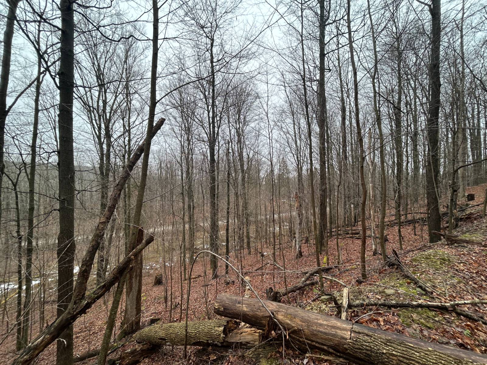 #9 photo, L212 Kelly Hill Rd, Pine City , NY 14871