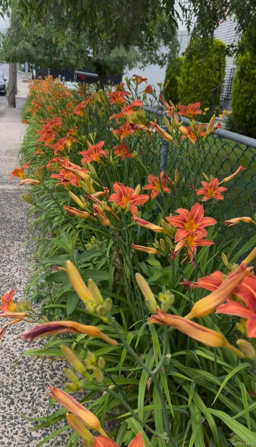 #3 photo, 7 White Plains Avenue, Elmsford , NY 10523