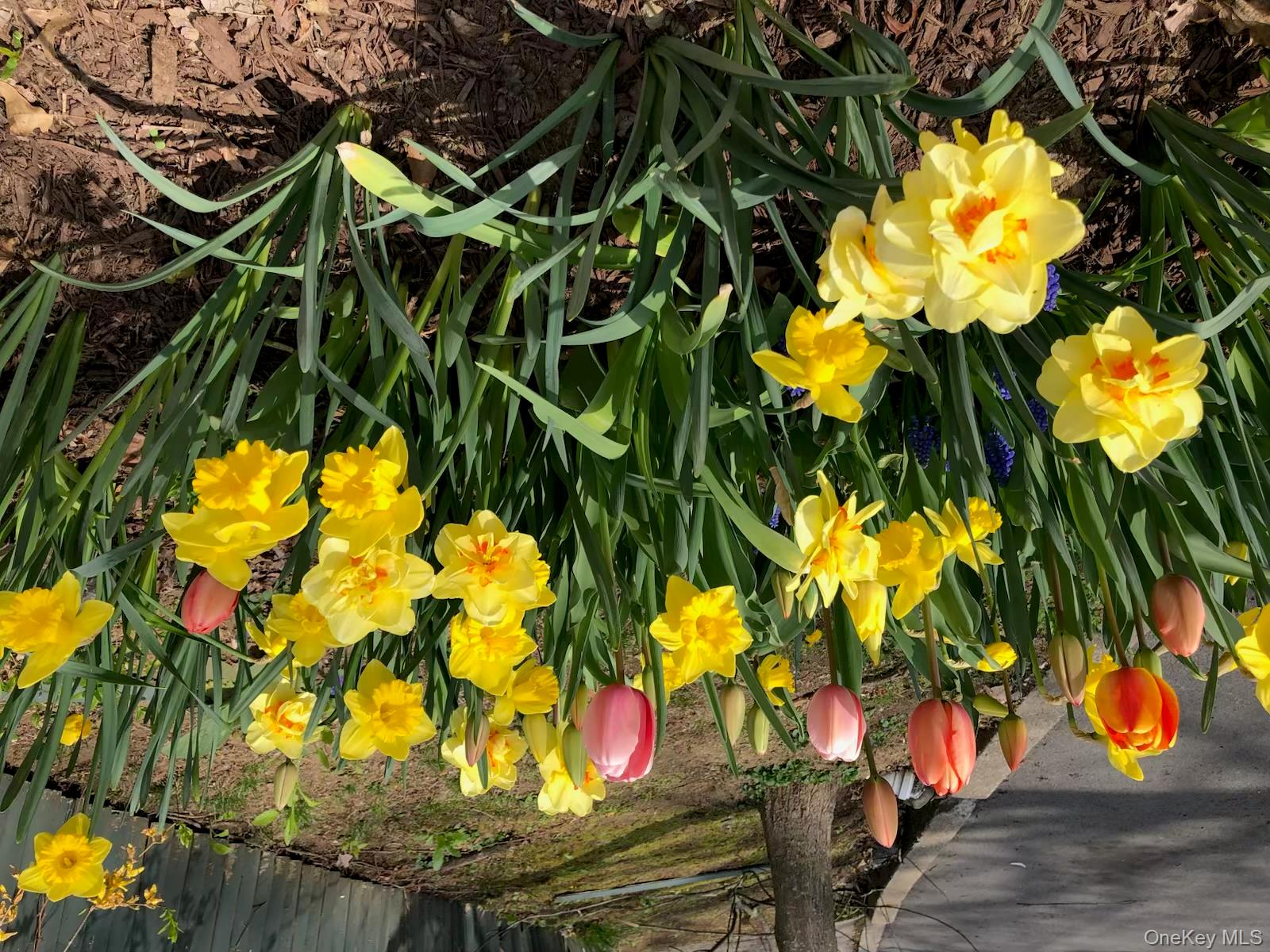 #13 photo, 48 Gordon Avenue, Sleepy Hollow , NY 10591