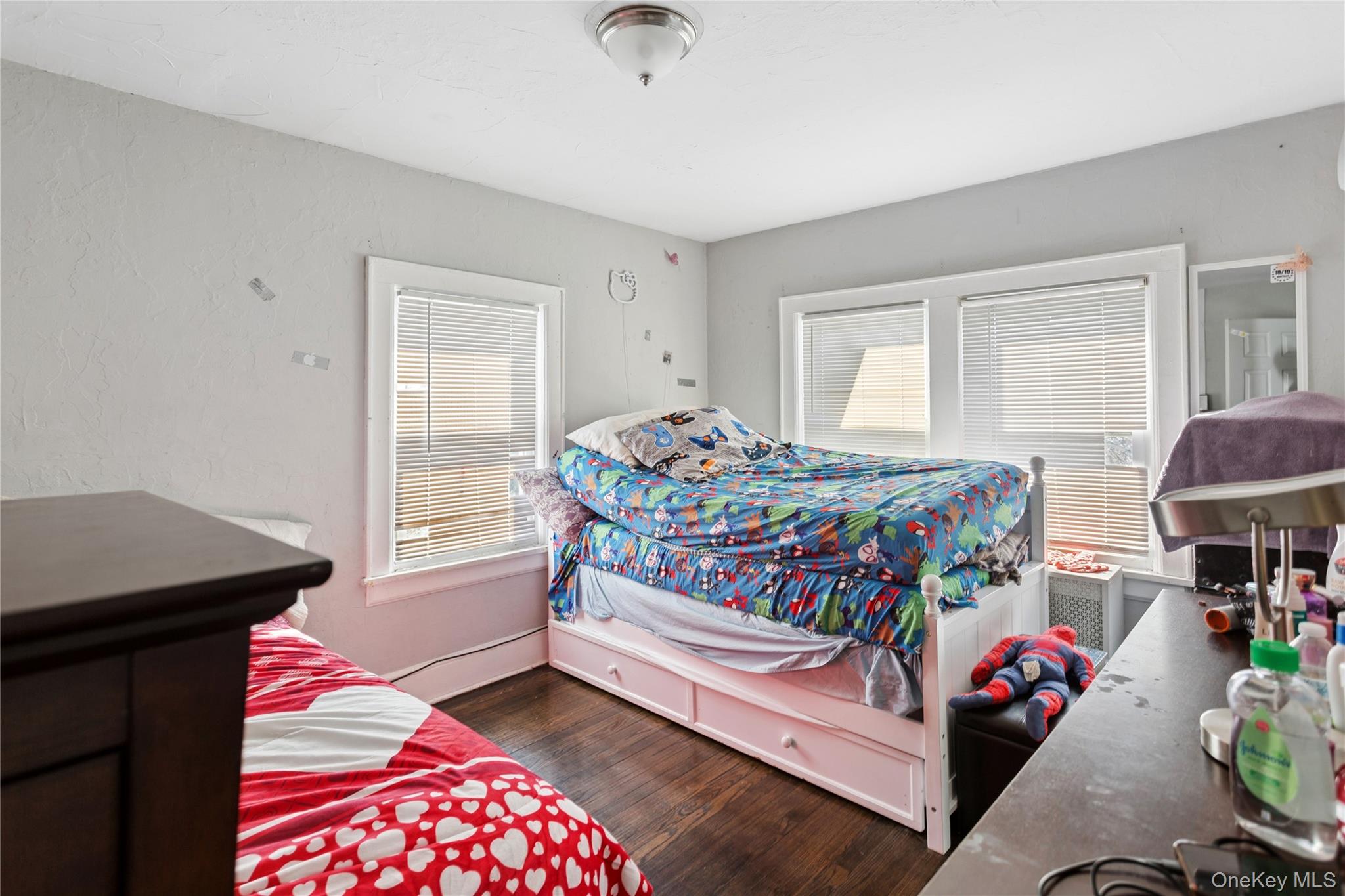 #15 photo, 261 Rutland Road, 长岛 Freeport , NY 11520