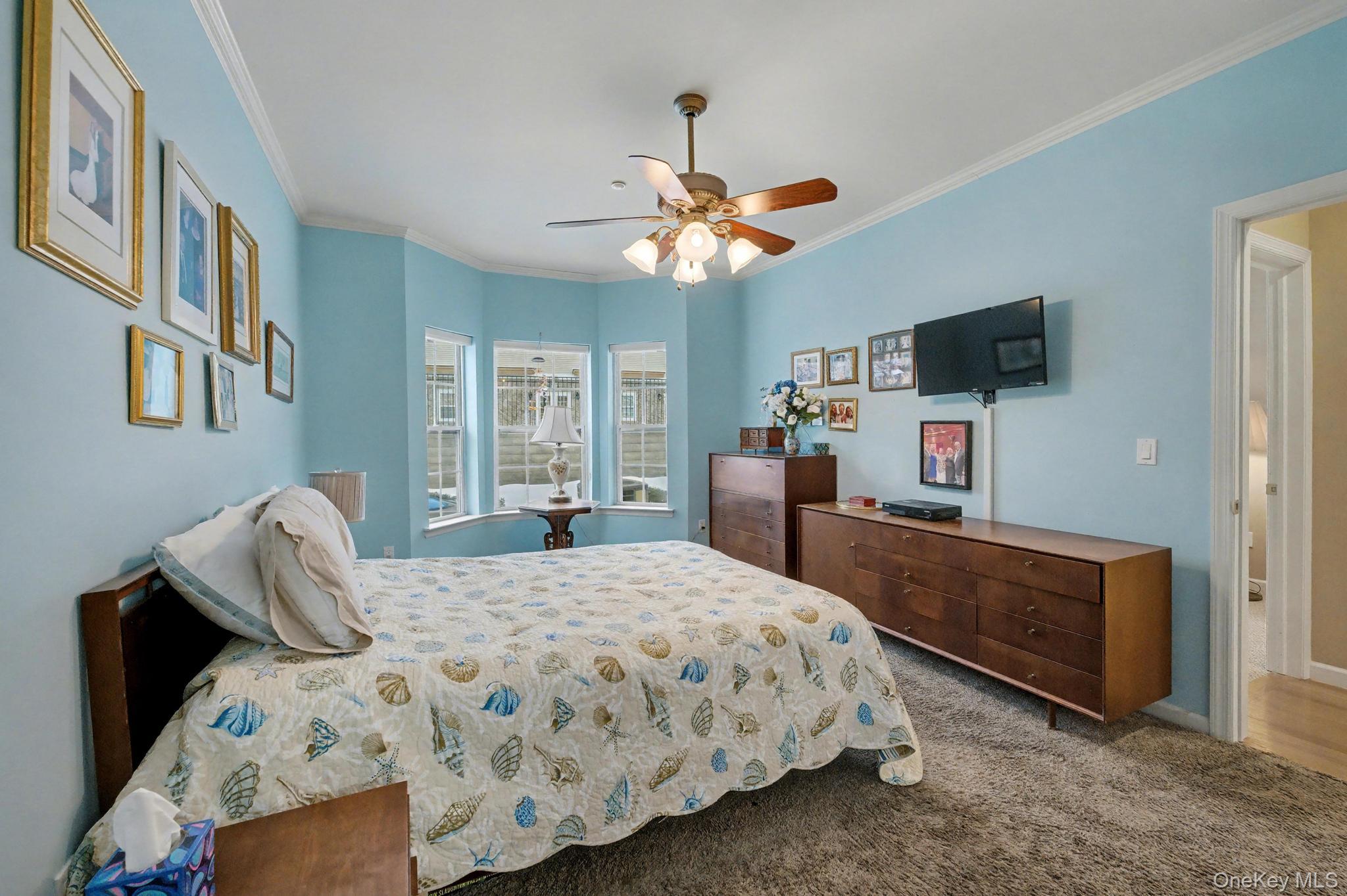 #16 photo, 394 Spring Drive, East Meadow , NY 11554