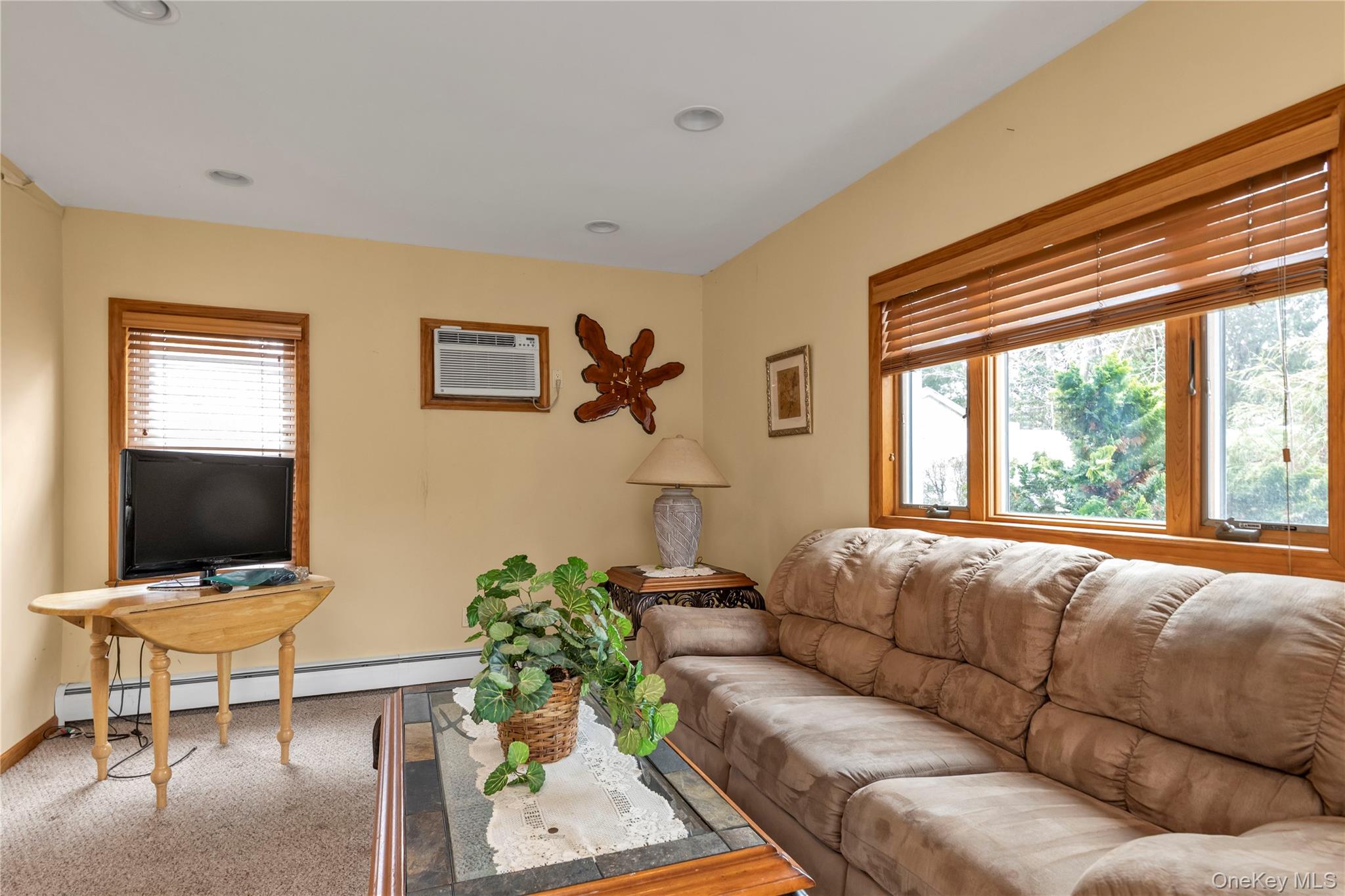 #10 photo, 12 Alexine Avenue, East Rockaway , NY 11518