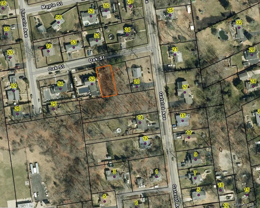 #2 photo, Oak Street, 东长岛 Ronkonkoma , NY 11779