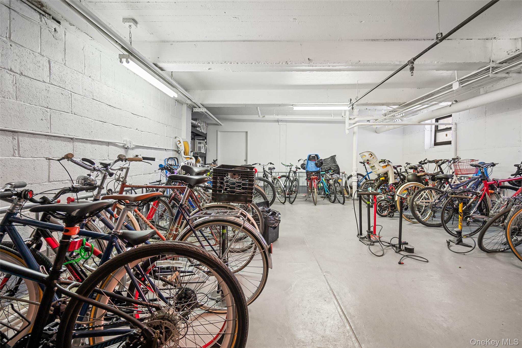 #19 photo, 385 Argyle Road, Brooklyn , NY 11218