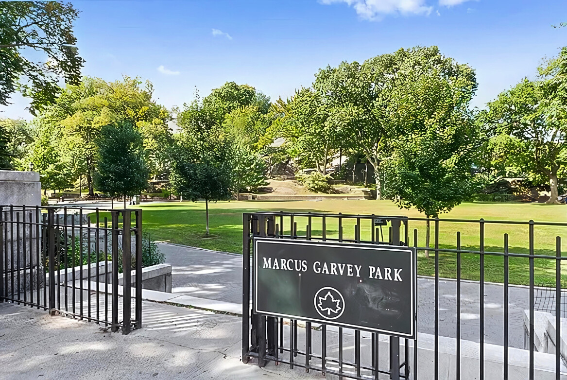 #15 photo, 1919 MADISON Avenue, South Harlem , NY 10035