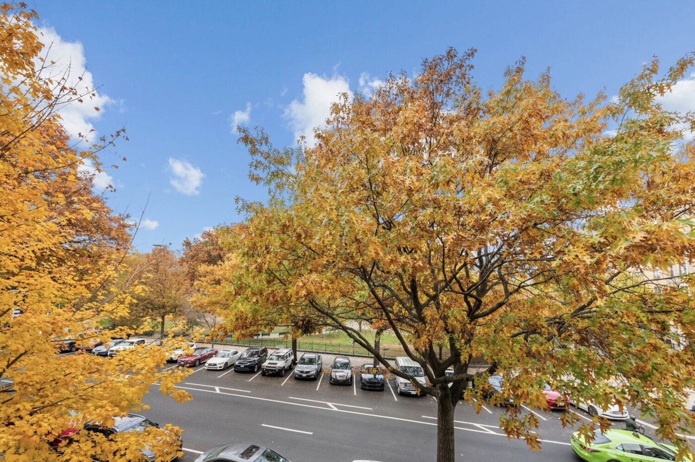 #4 photo, 1919 MADISON Avenue, South Harlem , NY 10035