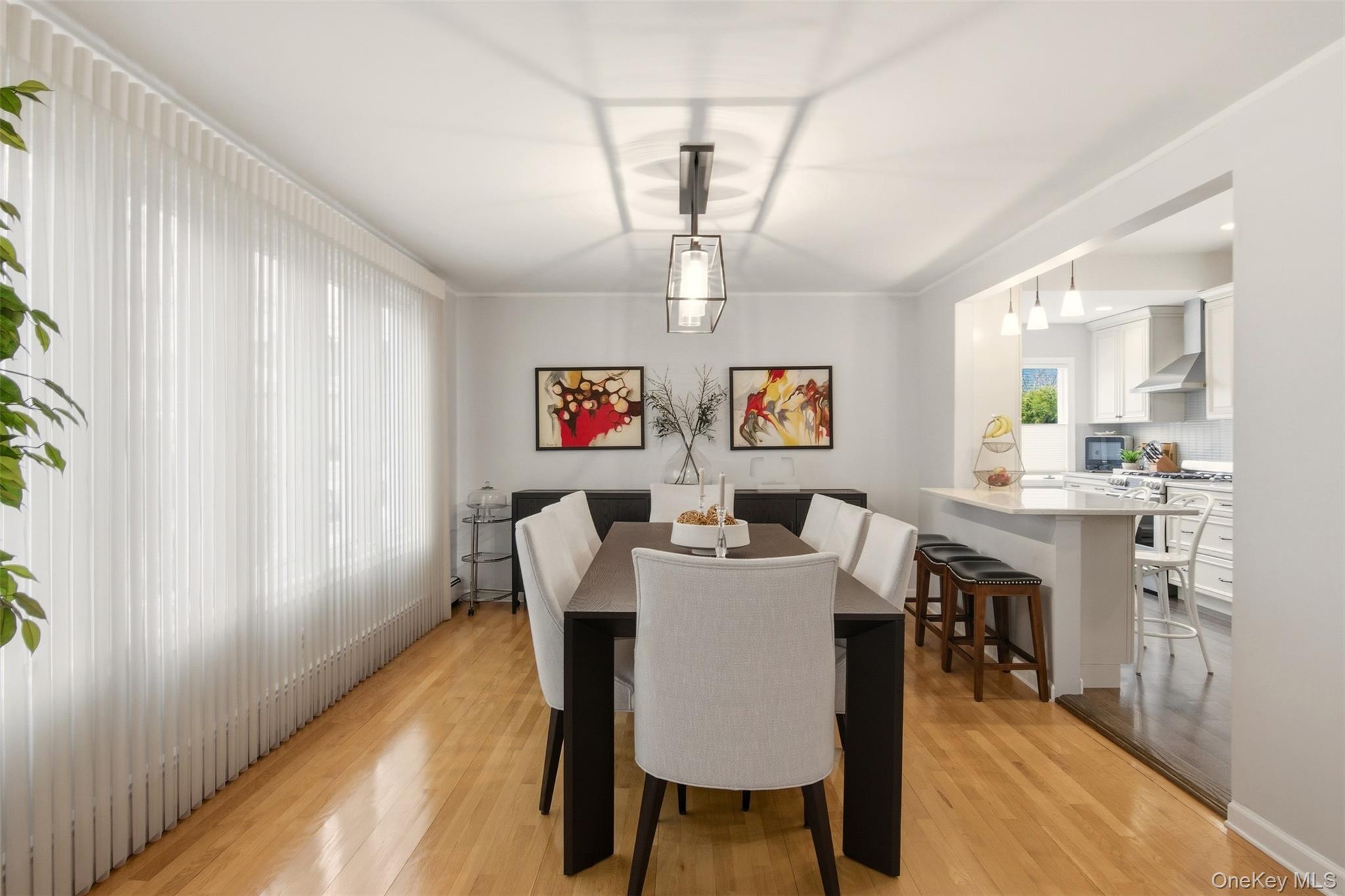 #11 photo, 17 Park Place, নাসাউ কাউন্টি Floral Park , NY 11001