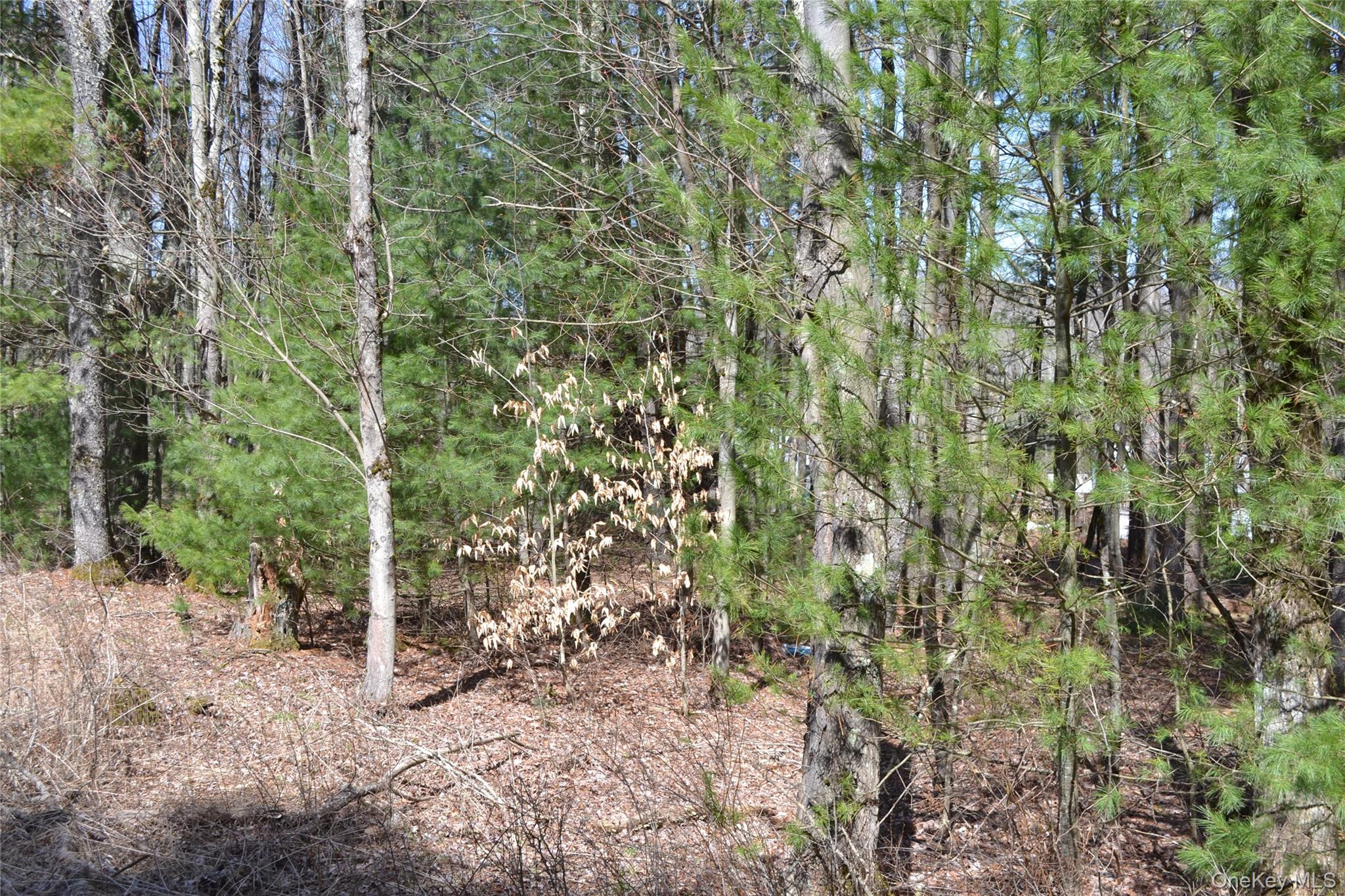 #11 photo, Garden House Road, Liberty , NY 12747