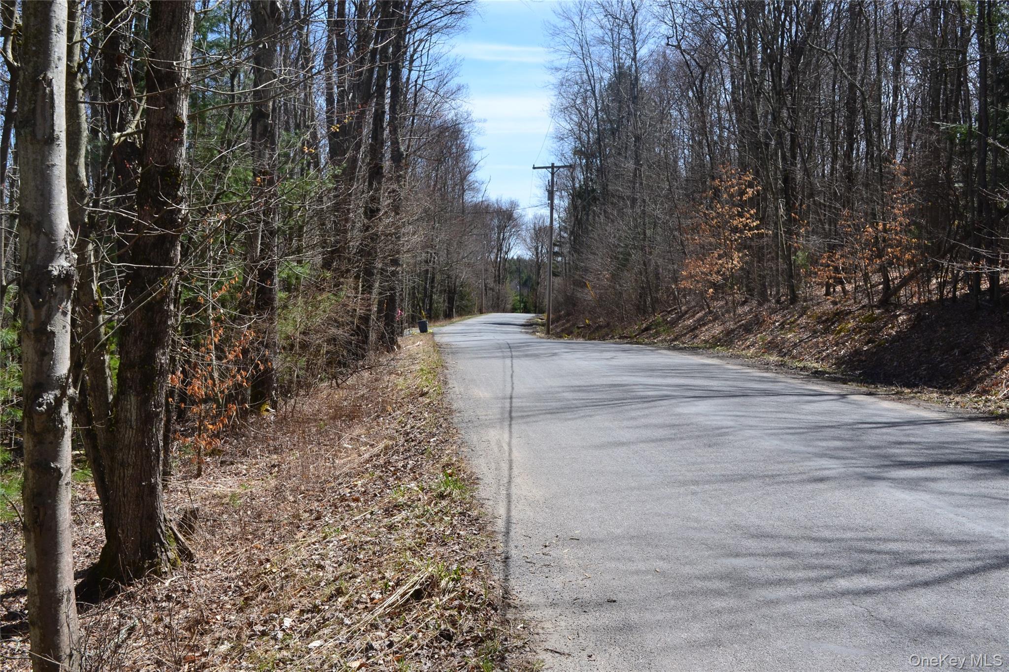 #12 photo, Garden House Road, Liberty , NY 12747