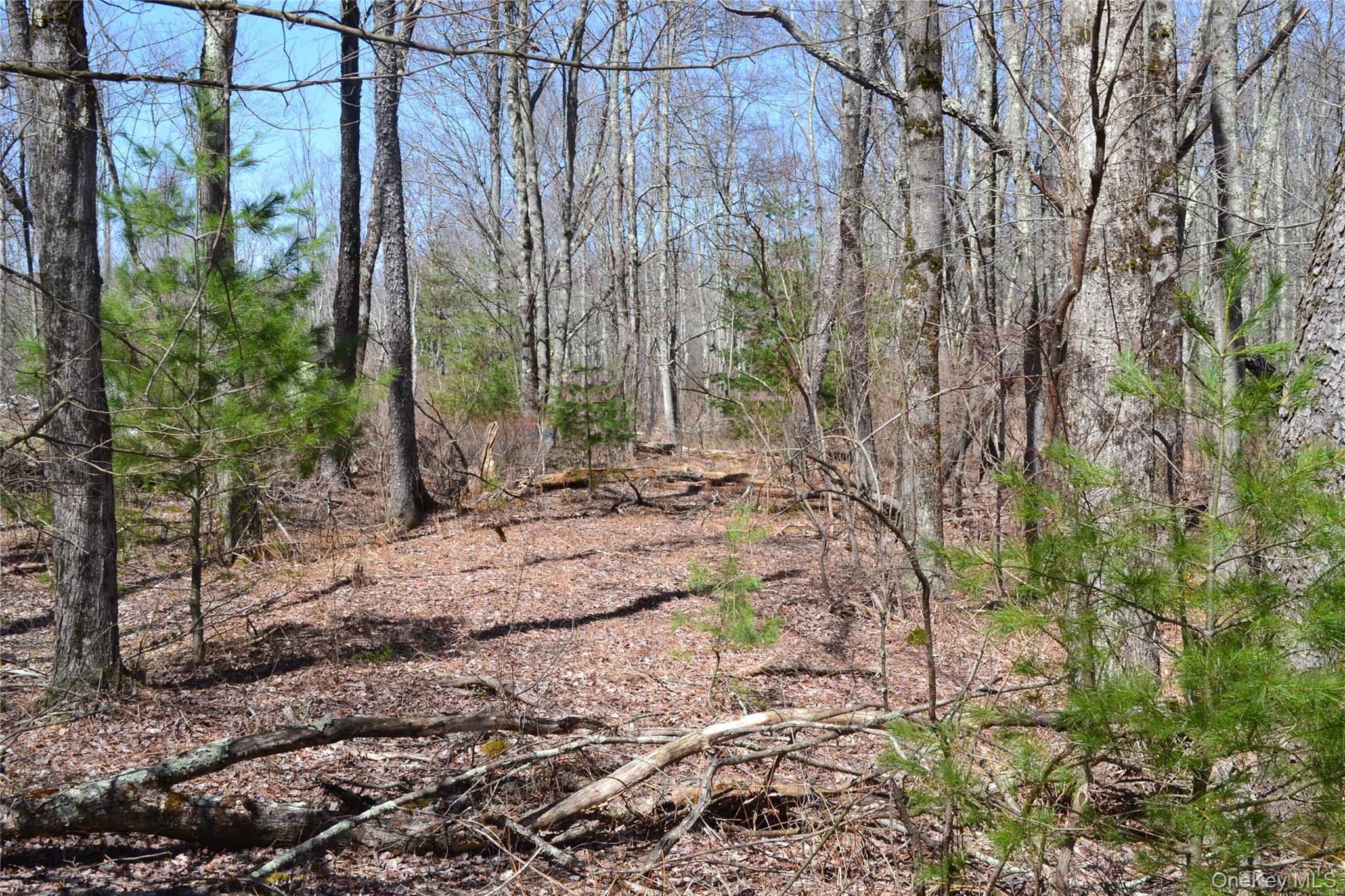 #2 photo, Garden House Road, Liberty , NY 12747