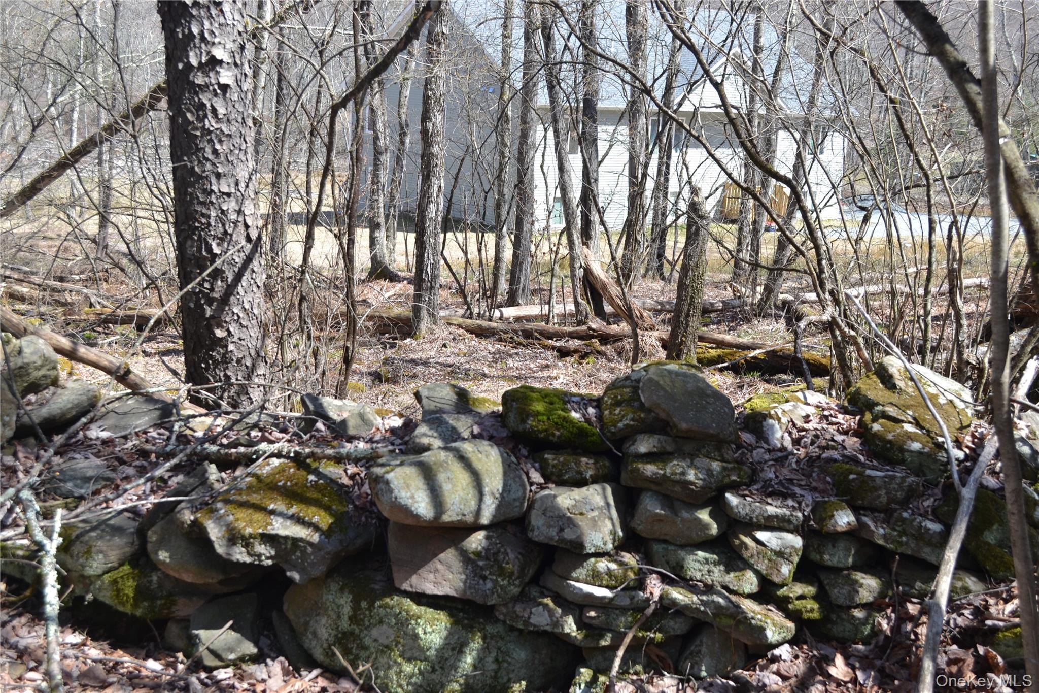 #3 photo, Garden House Road, Liberty , NY 12747