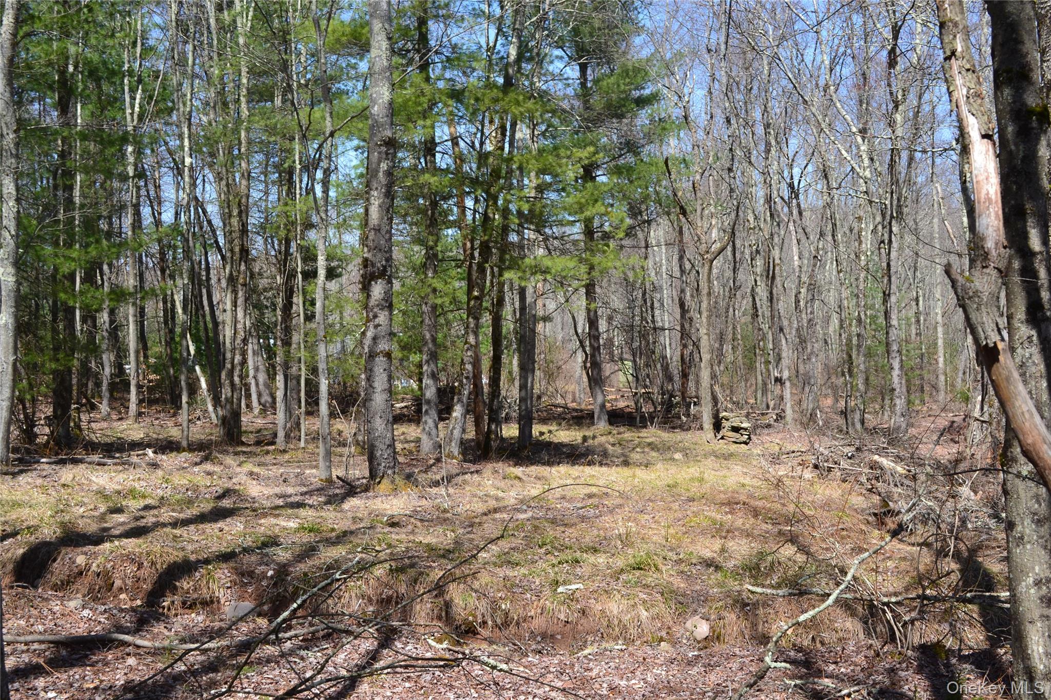 #4 photo, Garden House Road, Liberty , NY 12747