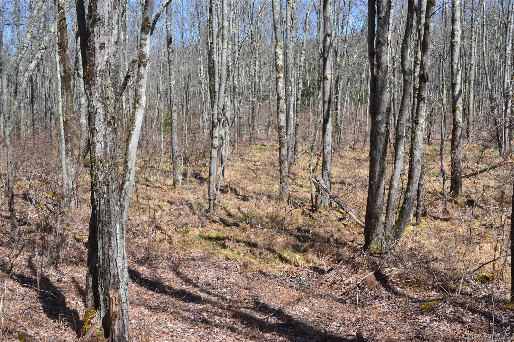 #5 photo, Garden House Road, Liberty , NY 12747