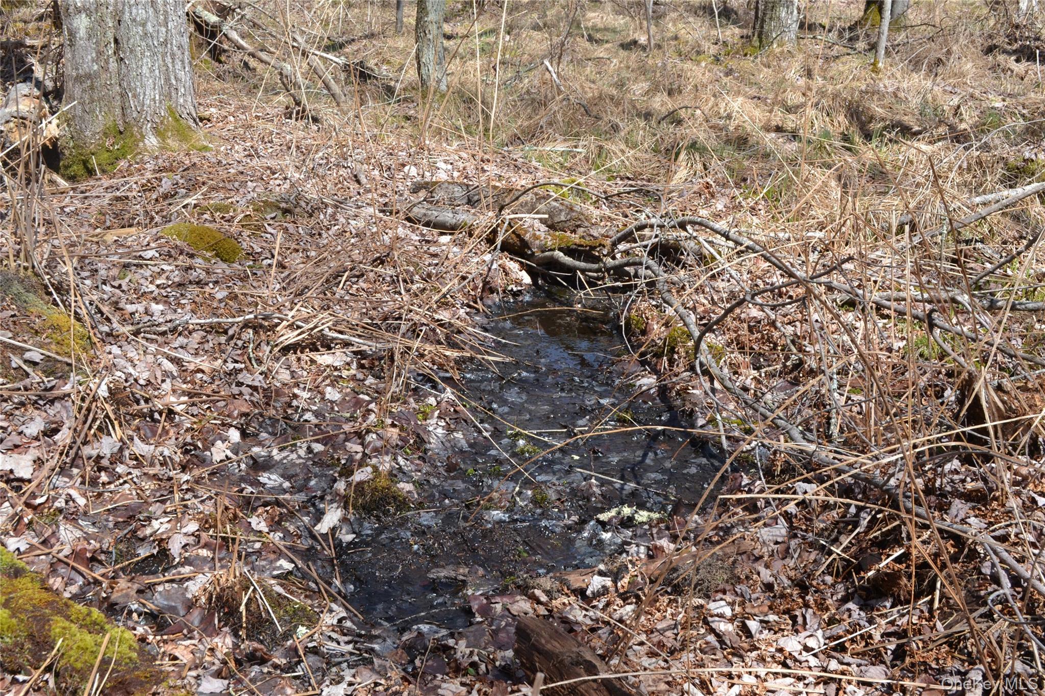 #6 photo, Garden House Road, Liberty , NY 12747