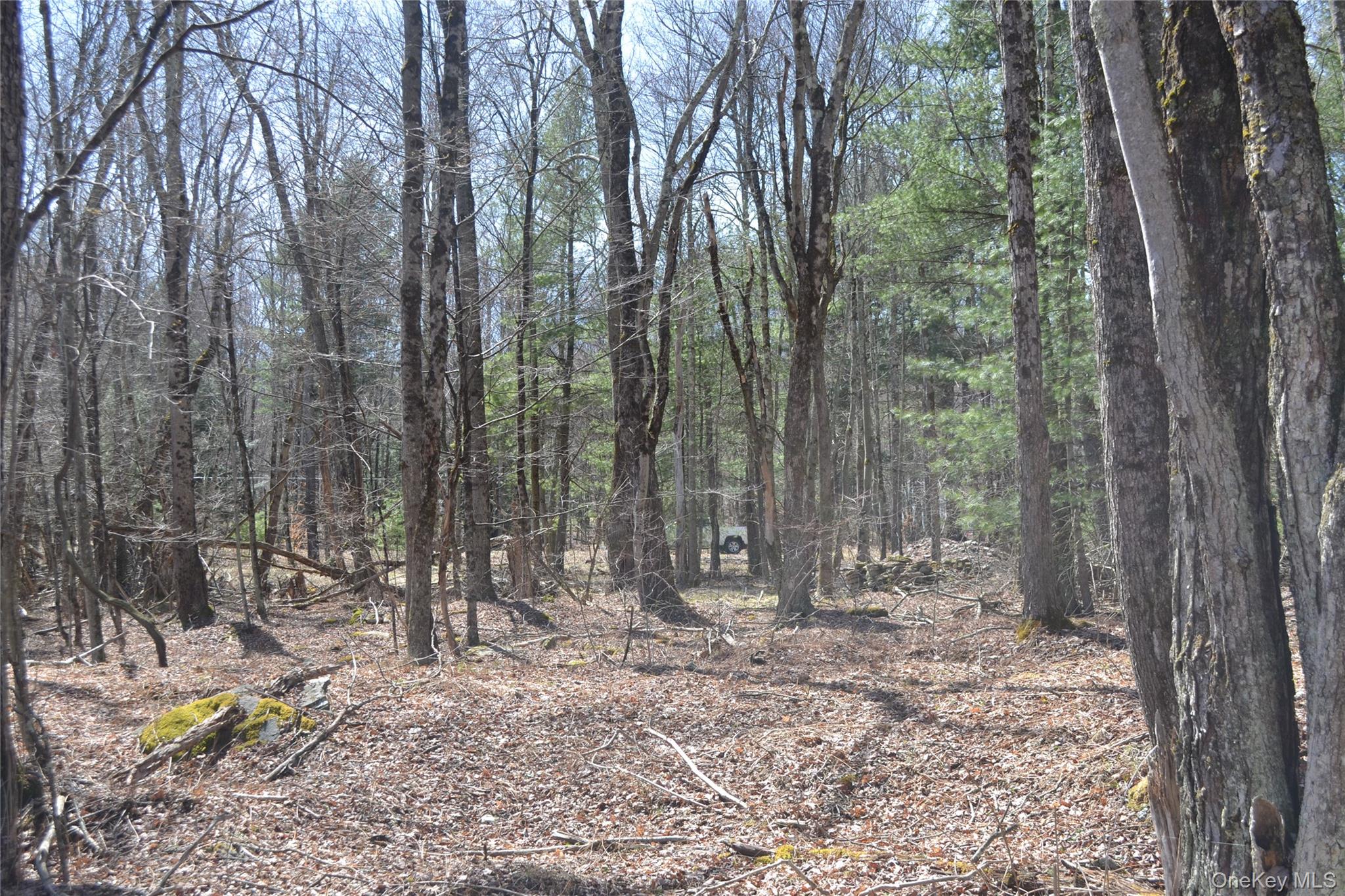 #7 photo, Garden House Road, Liberty , NY 12747