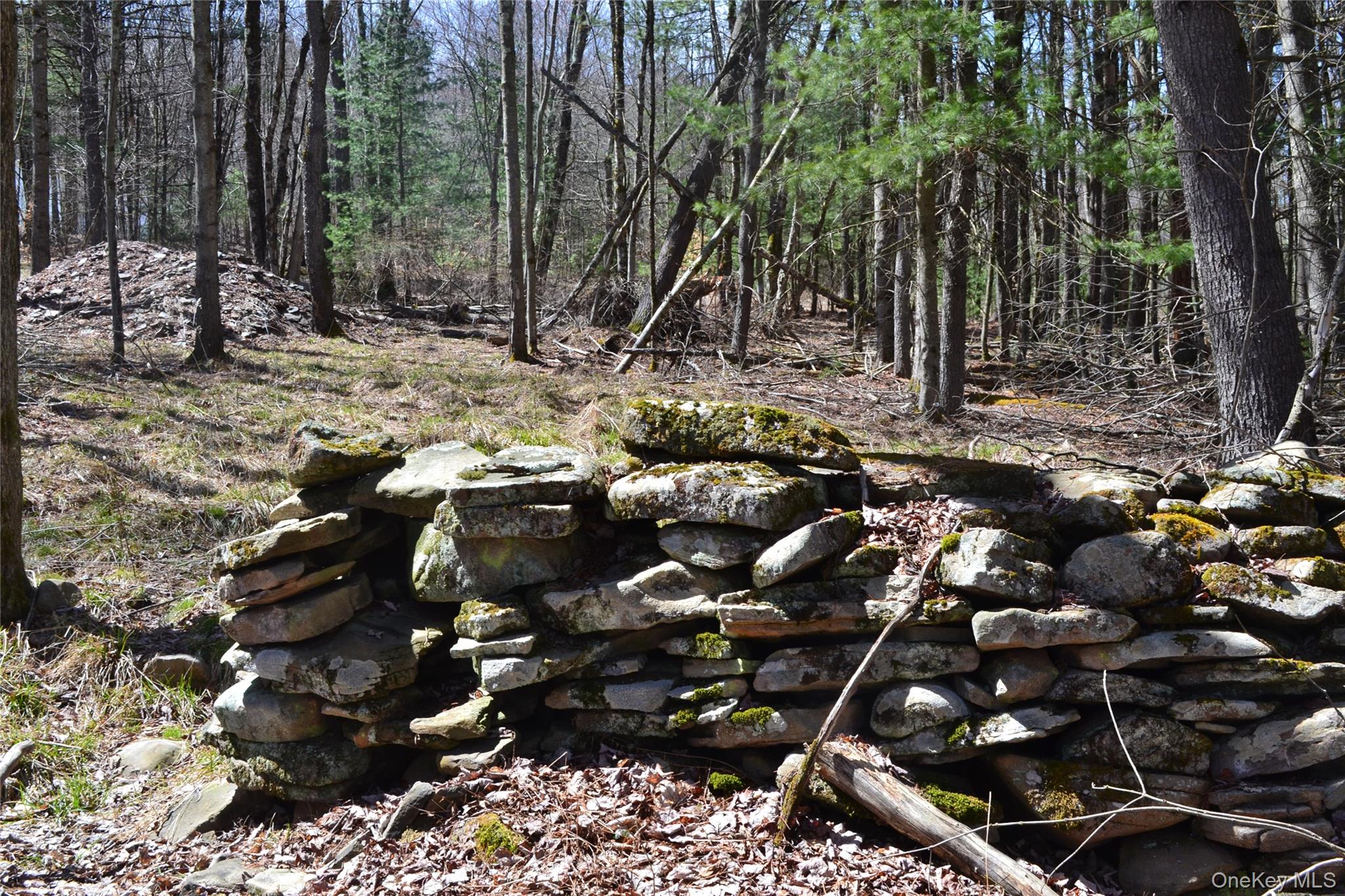 #9 photo, Garden House Road, Liberty , NY 12747