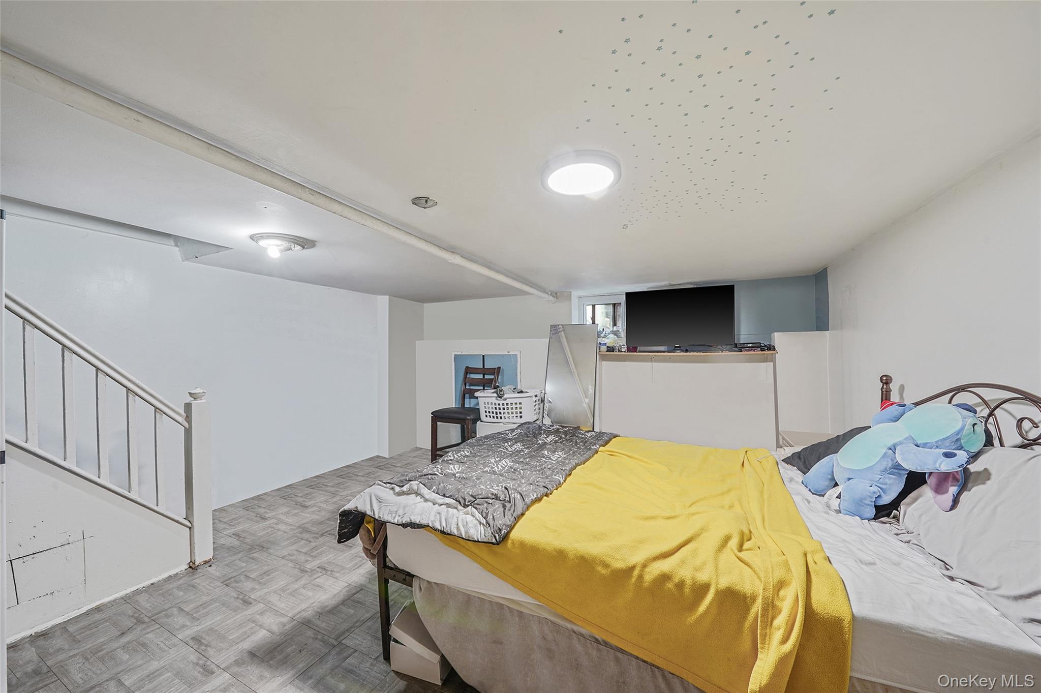 #14 photo, 141 Branton Street, Brooklyn , NY 11236