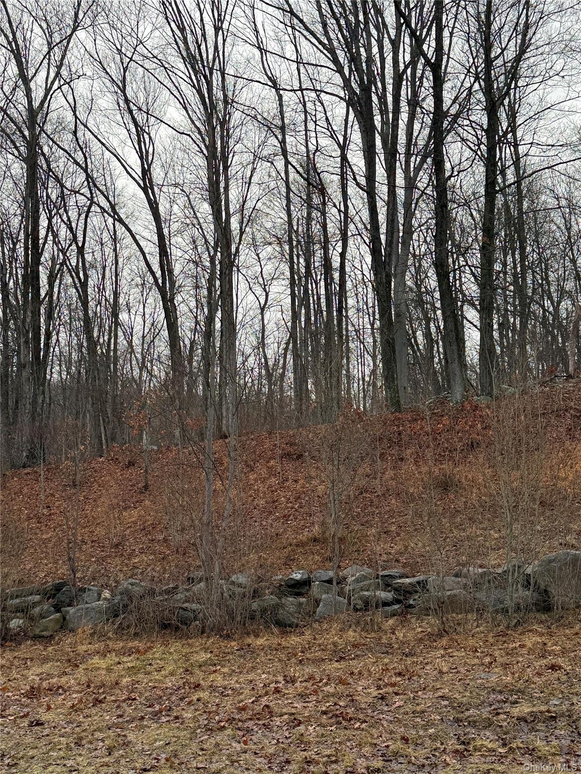 #1 photo, 435 Mineral Springs Road, Highland Mills , NY 10930