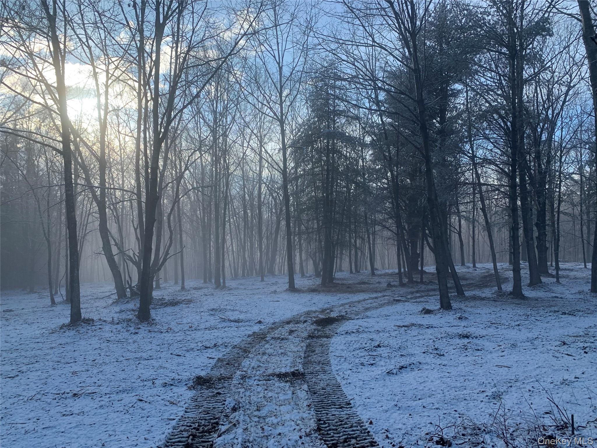 #3 photo, Harroway, Other , NY 12149