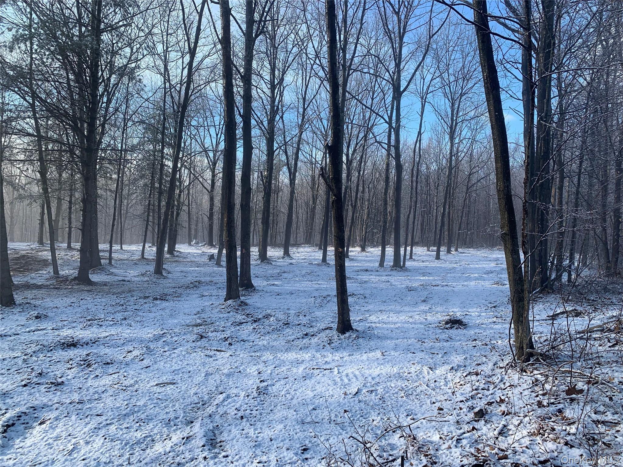 #4 photo, Harroway, Other , NY 12149