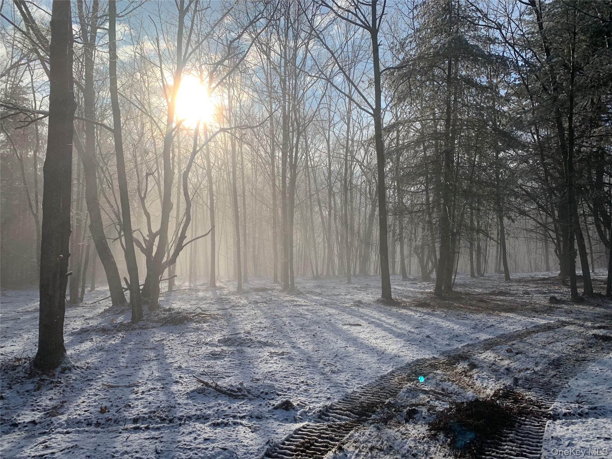 #5 photo, Harroway, Other , NY 12149