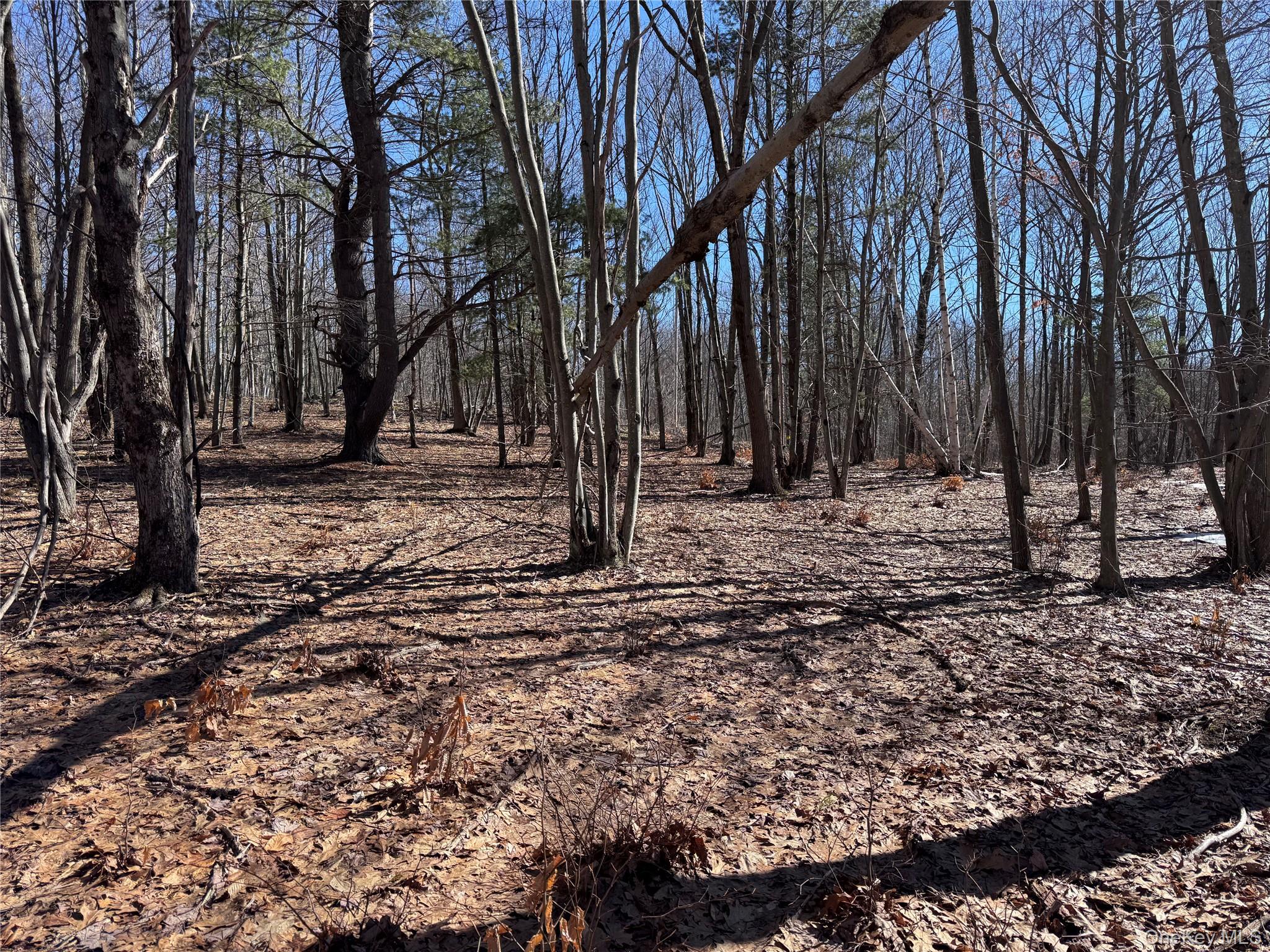 #7 photo, Harroway, Other , NY 12149