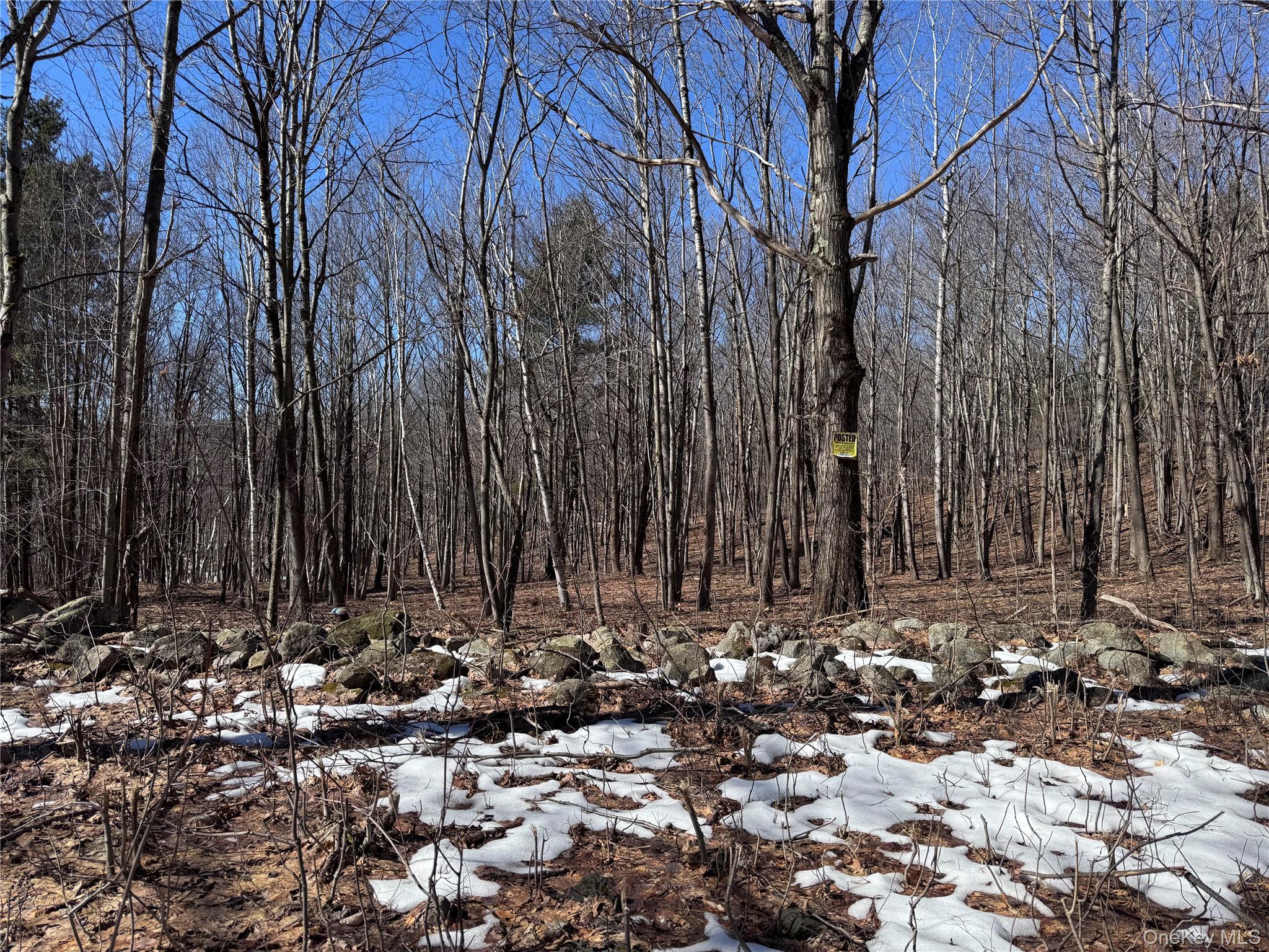 #8 photo, Harroway, Other , NY 12149