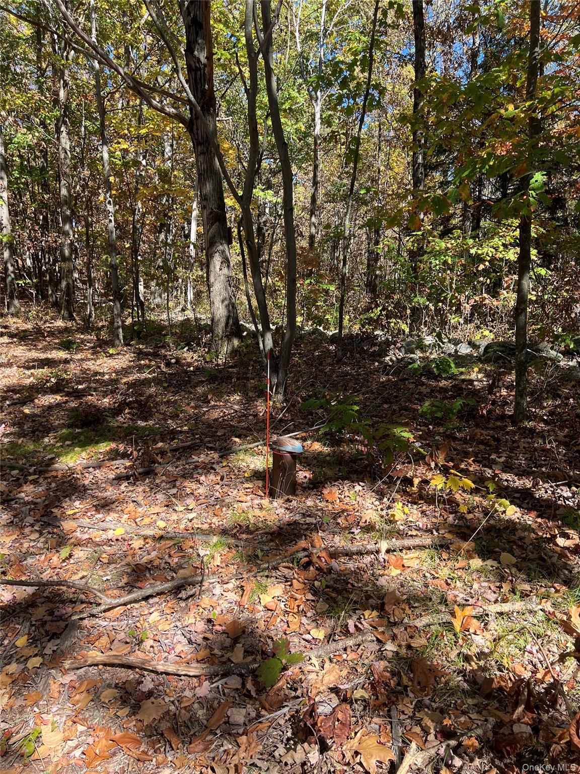 #9 photo, Harroway, Other , NY 12149