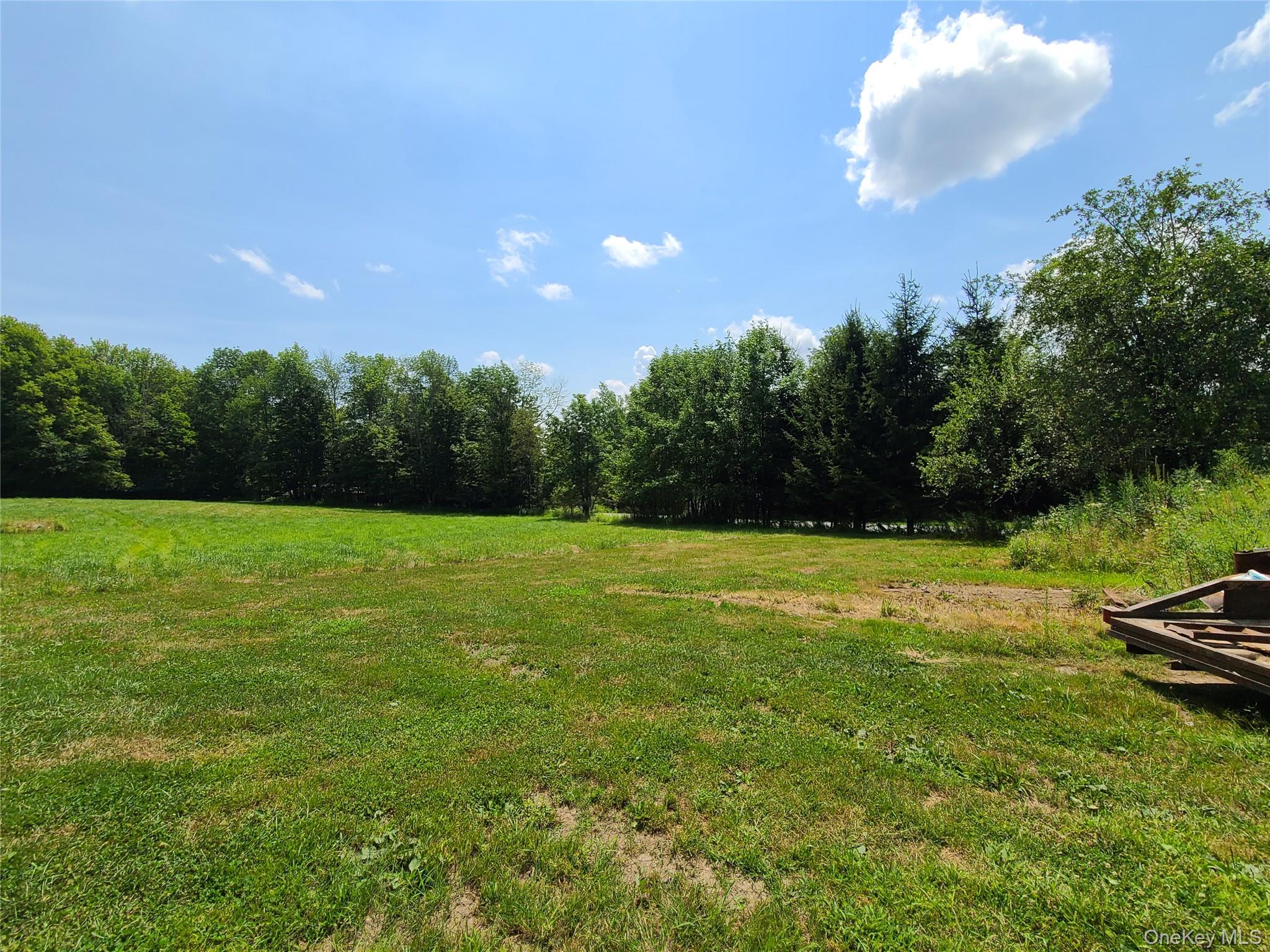 #10 photo, TBD Stump Pond Road, Livingston Manor , NY 12758