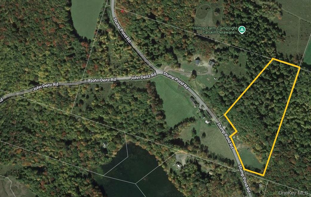 #2 photo, TBD Stump Pond Road, Livingston Manor , NY 12758