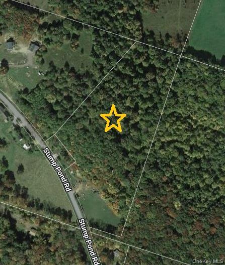 #5 photo, TBD Stump Pond Road, Livingston Manor , NY 12758