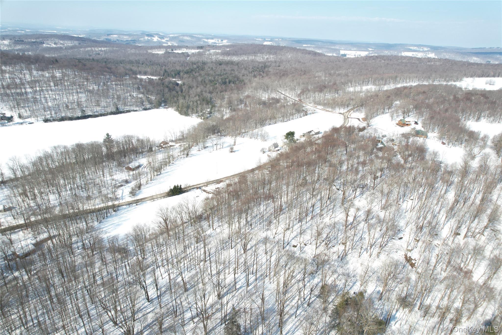 #6 photo, TBD Stump Pond Road, Livingston Manor , NY 12758