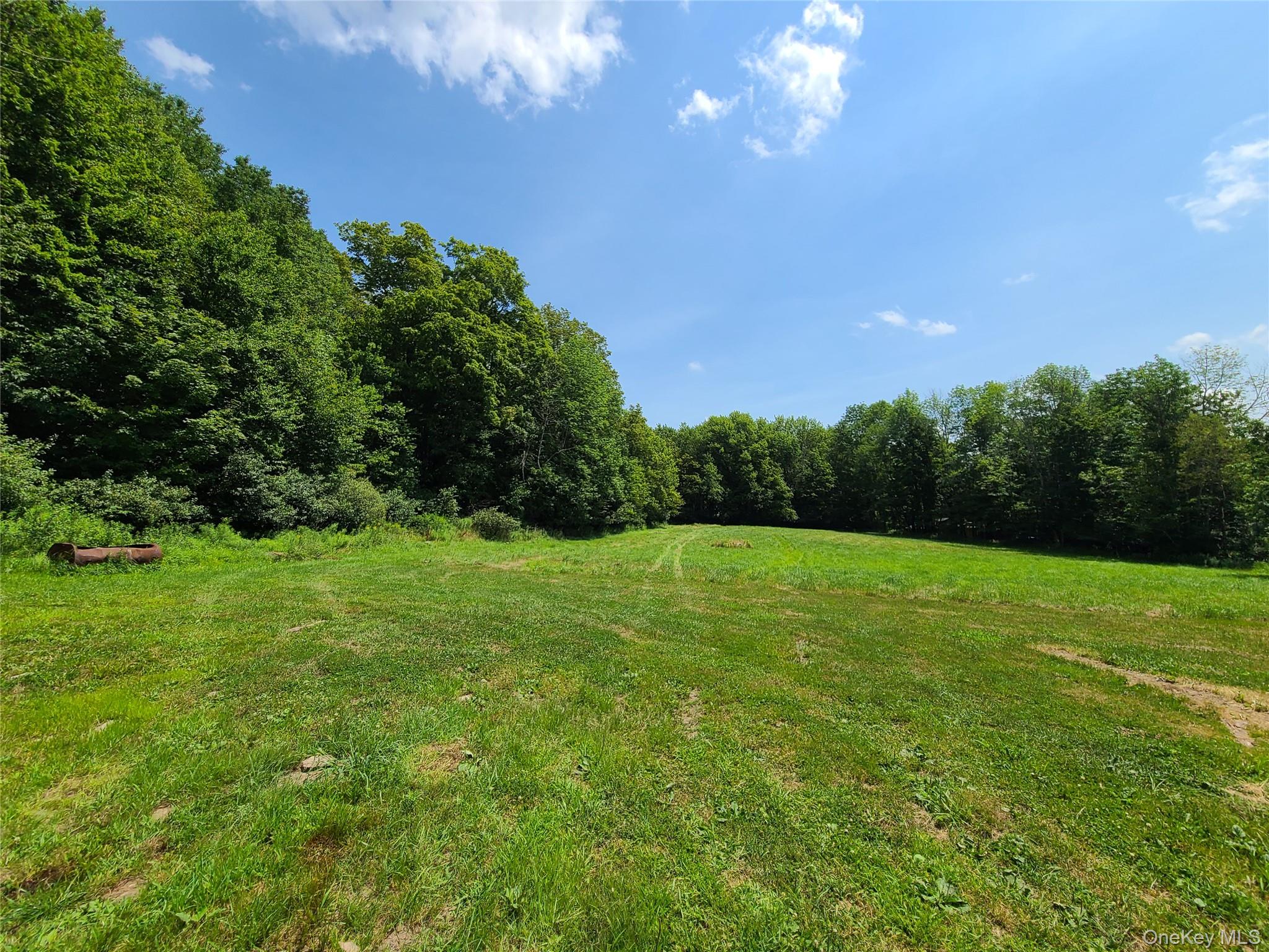 #9 photo, TBD Stump Pond Road, Livingston Manor , NY 12758