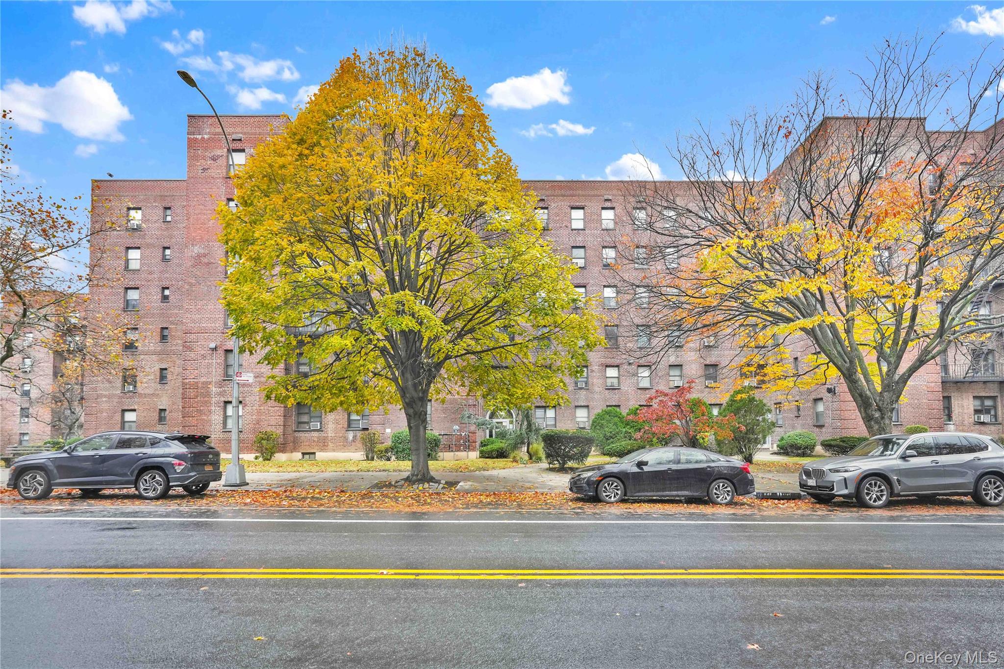 #3 photo, 25-18 Union Street, Куинс ‖ Flushing , NY 11354