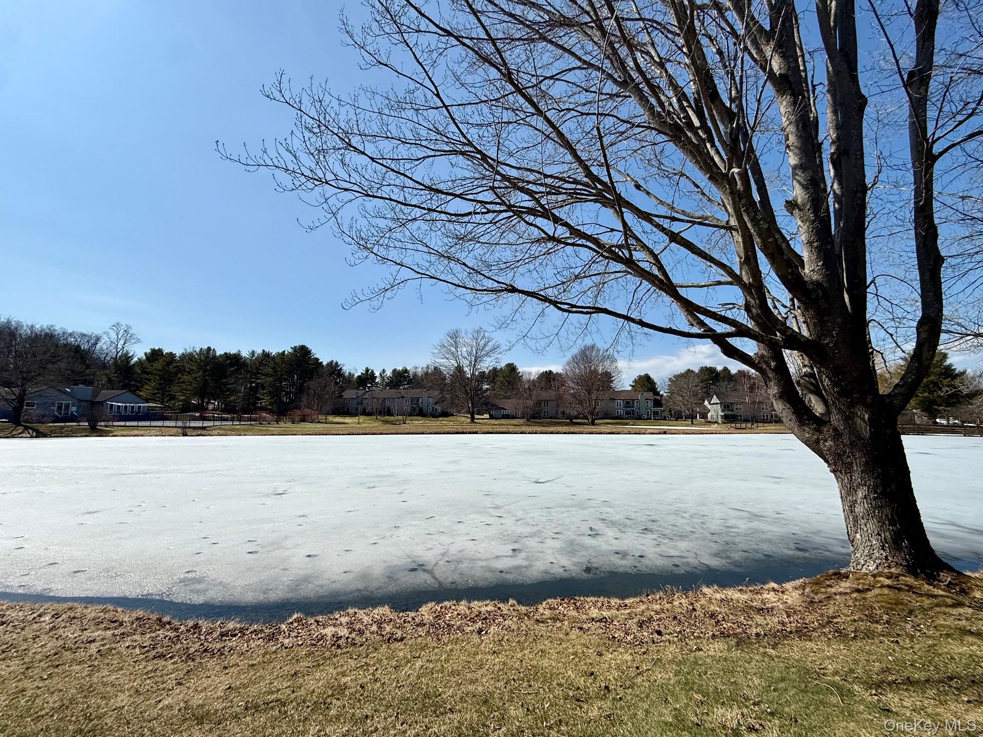 #18 photo, 14 Pond Drive, Rhinebeck , NY 12572