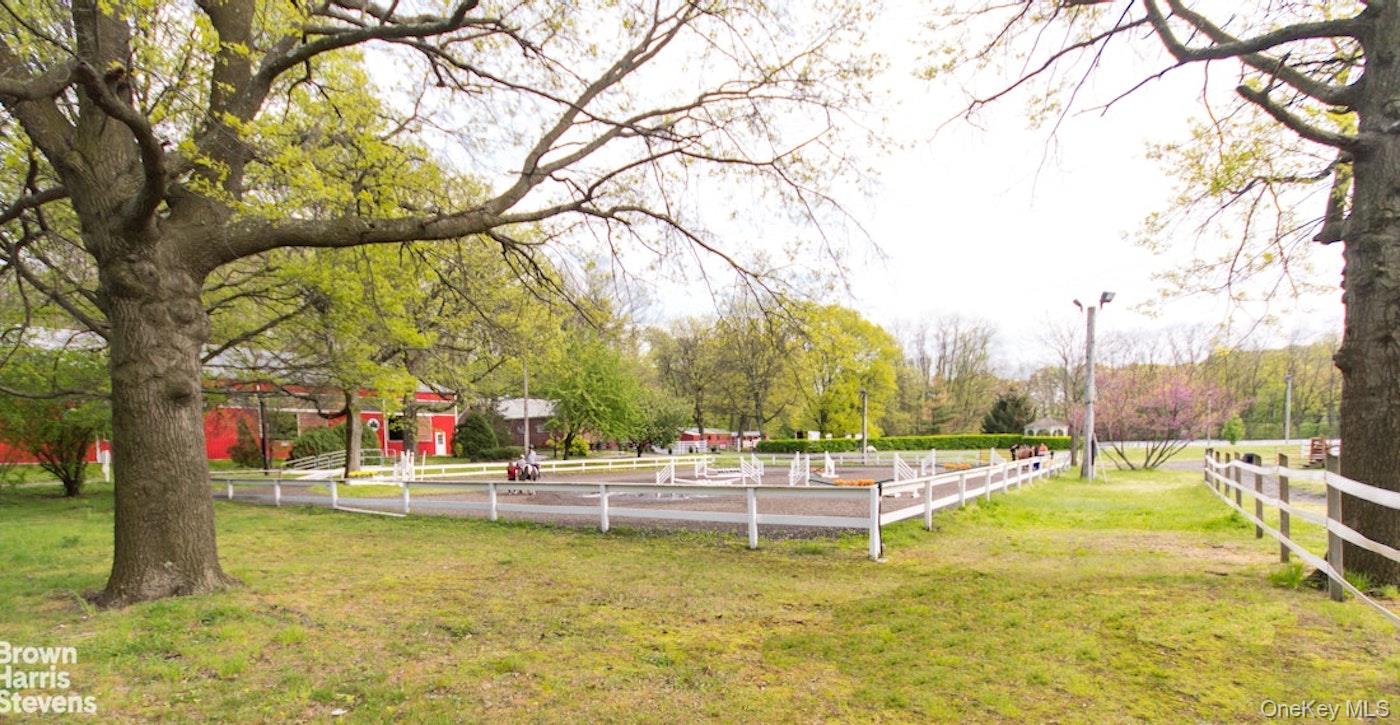 #19 photo, 4445 Post Road, برونكس Bronx , NY 10471
