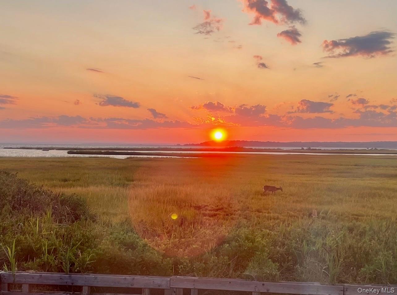 #8 photo, 57 Nash Avenue, سوفولك Flanders , NY 11901