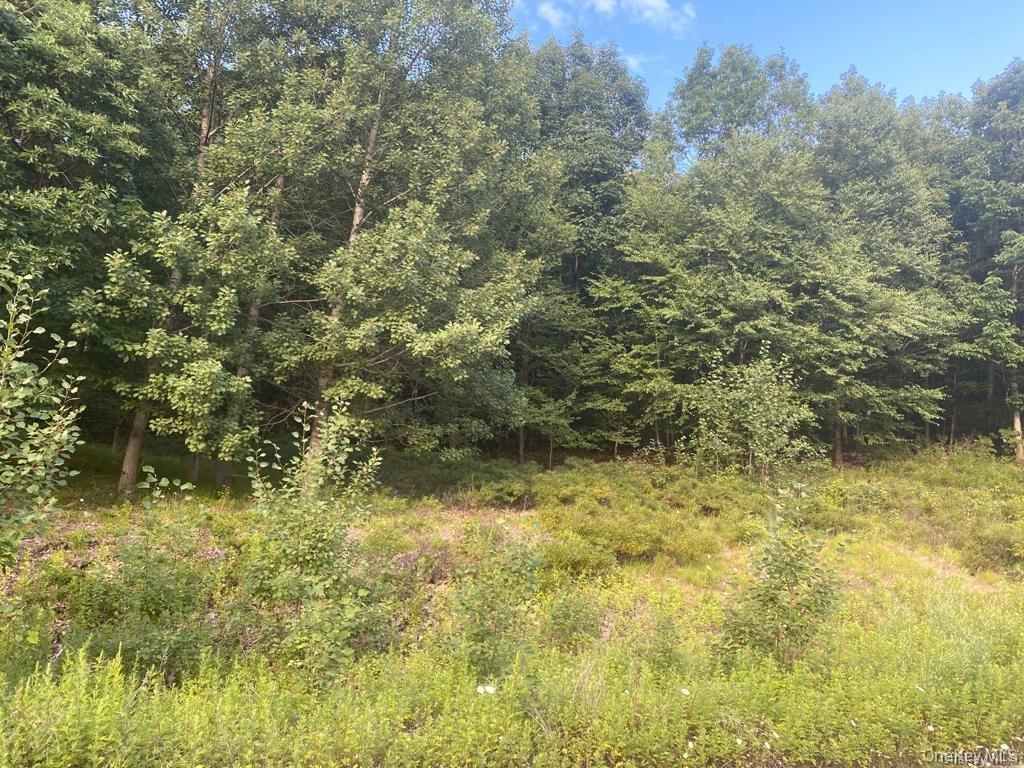 #1 photo, 19 N Ridge Road, Pomona , NY 10970