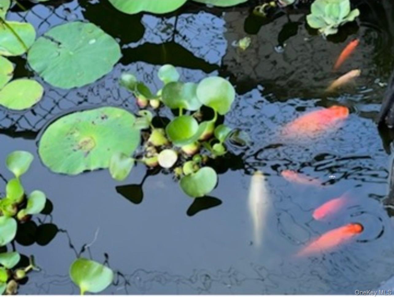 #12 photo, 35 Hicks Avenue, Syosset , NY 11791