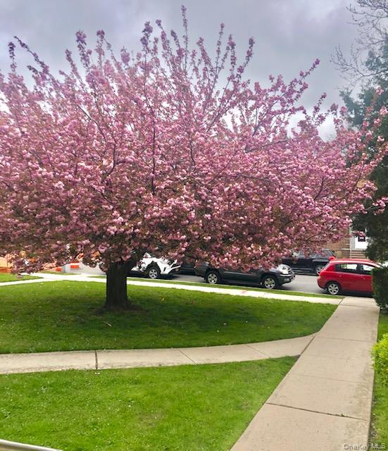 #18 photo, 36-44 172 Street, קווינס Flushing , NY 11358