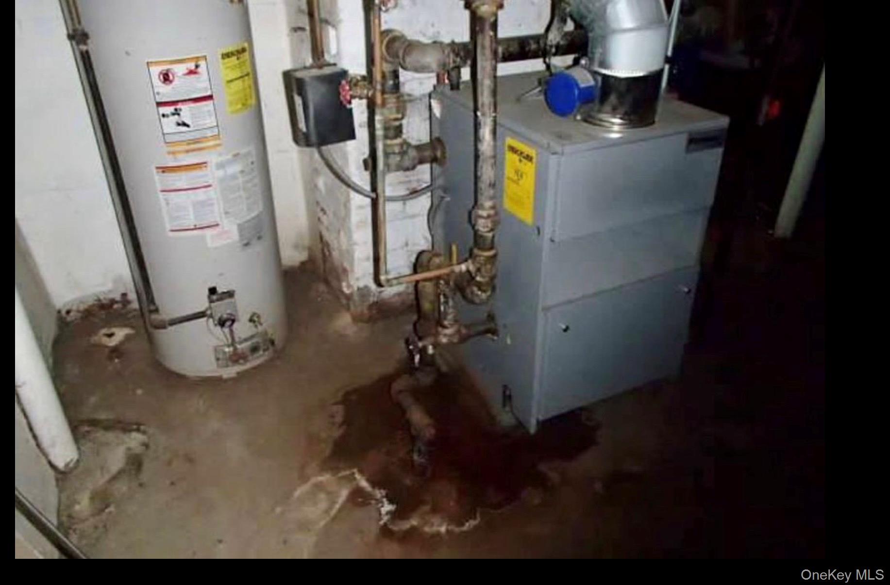 #9 photo, 2515 Ericsson Street, 皇后區 East Elmhurst , NY 11369