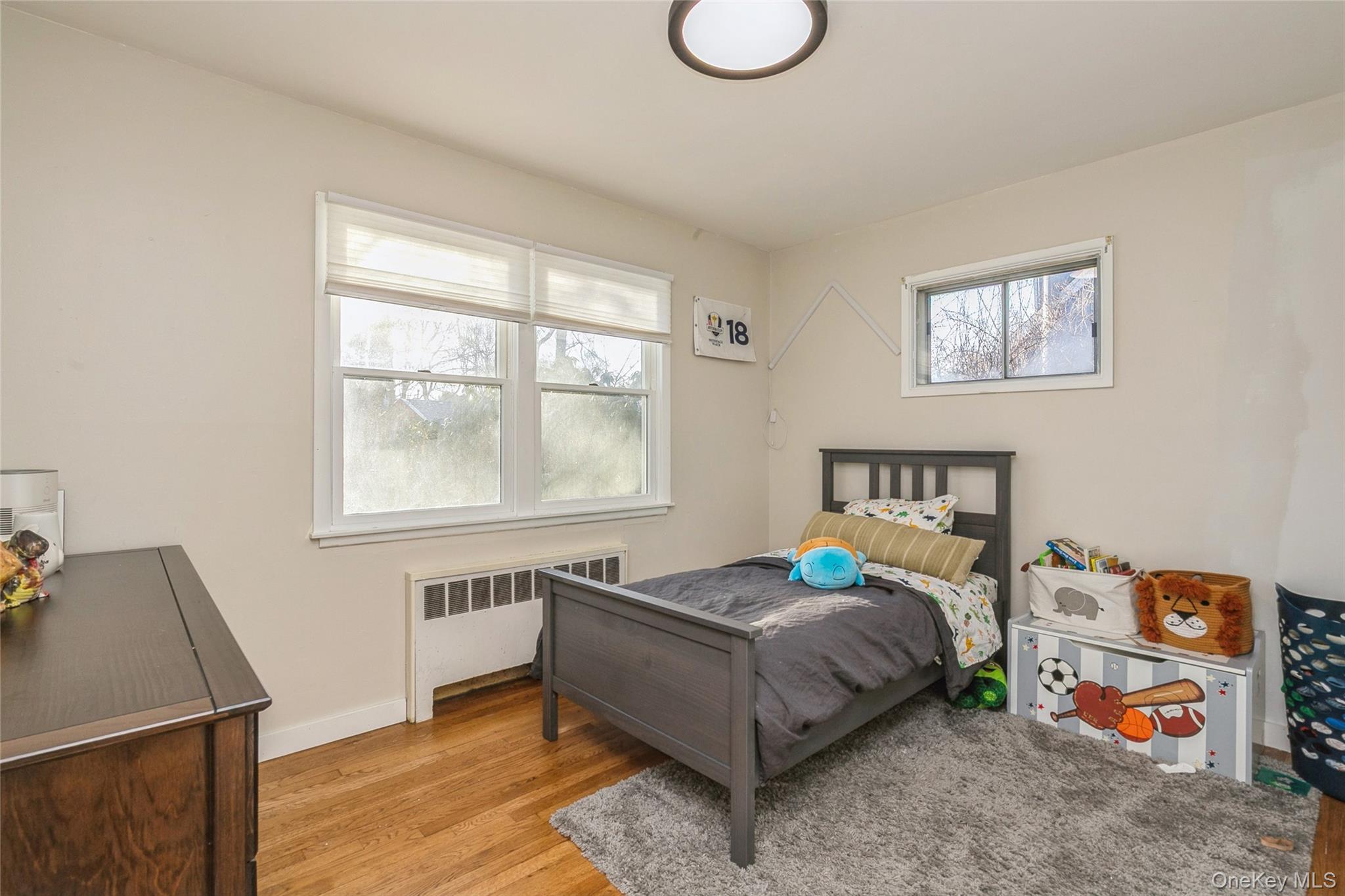 #15 photo, 17 Goldsmith Avenue, Greenlawn , NY 11740