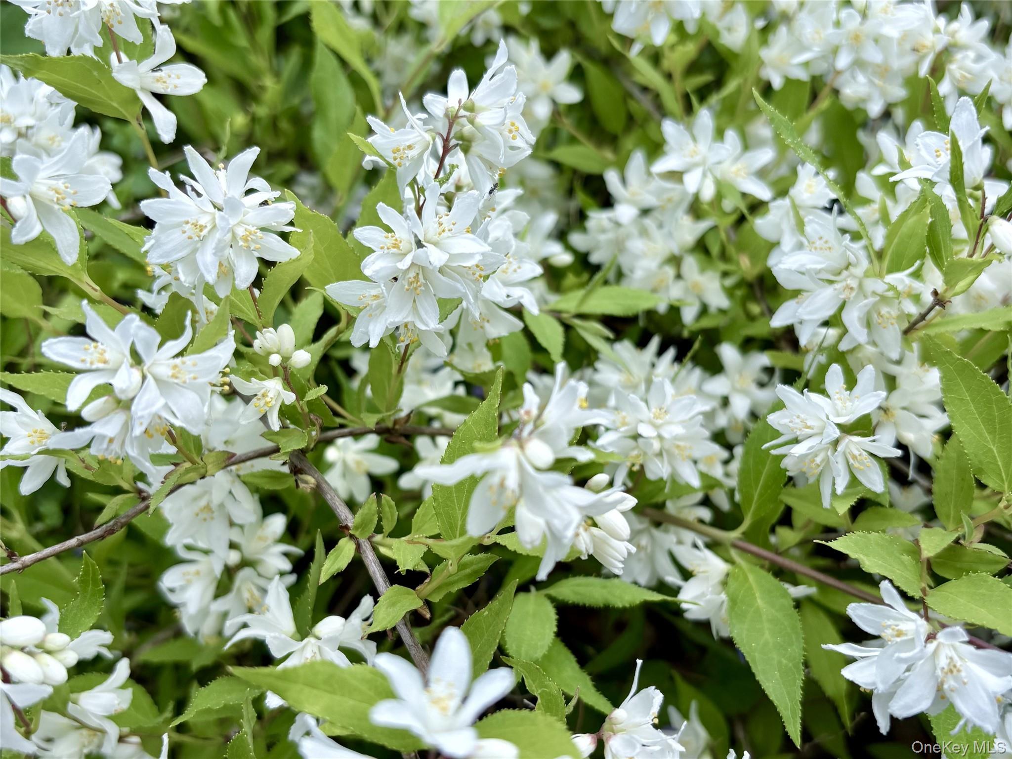 #3 photo, 8 Harper Avenue, 뉴욕주 Montrose , NY 10548