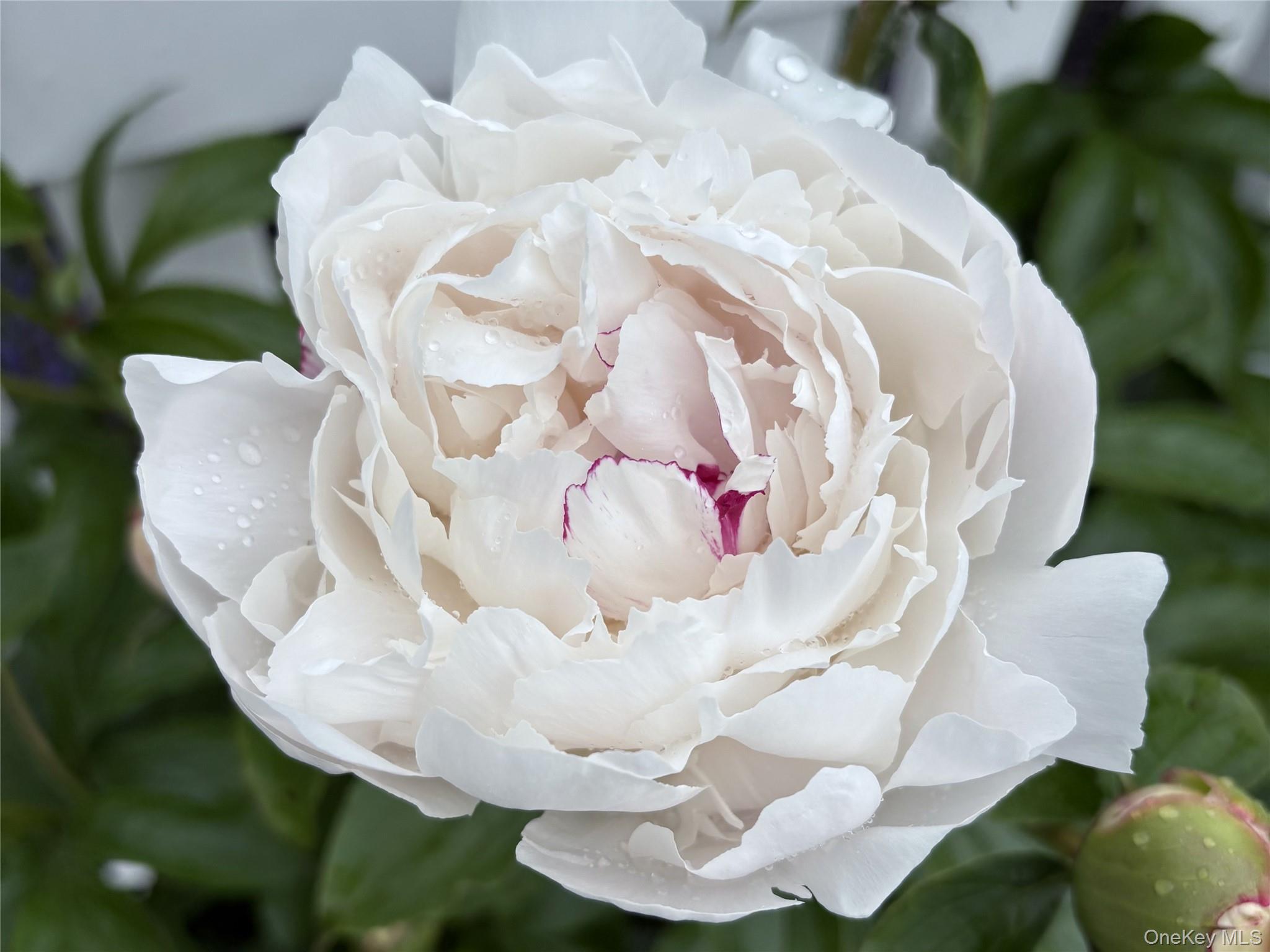 #5 photo, 8 Harper Avenue, 뉴욕주 Montrose , NY 10548