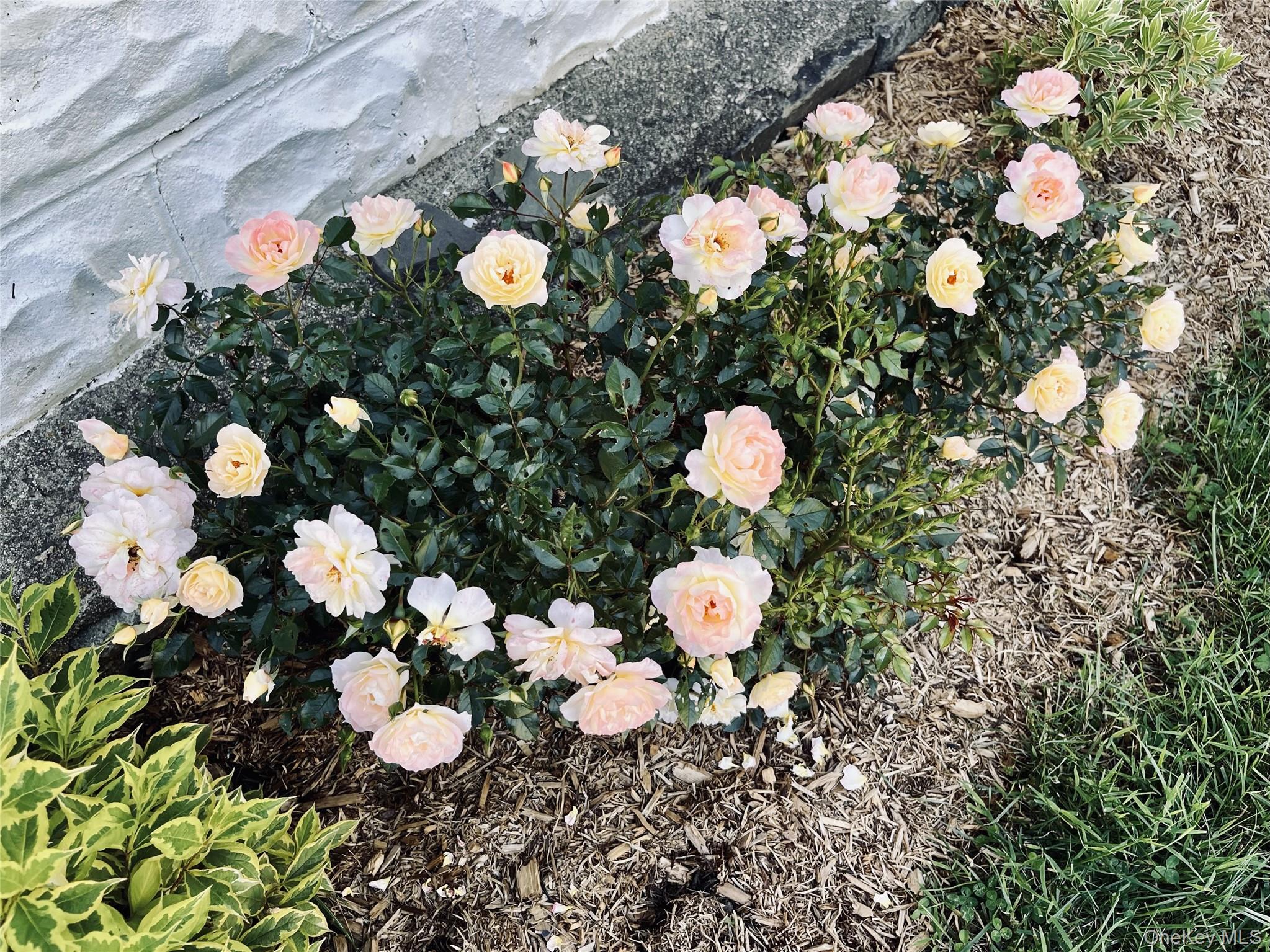 #6 photo, 8 Harper Avenue, 뉴욕주 Montrose , NY 10548