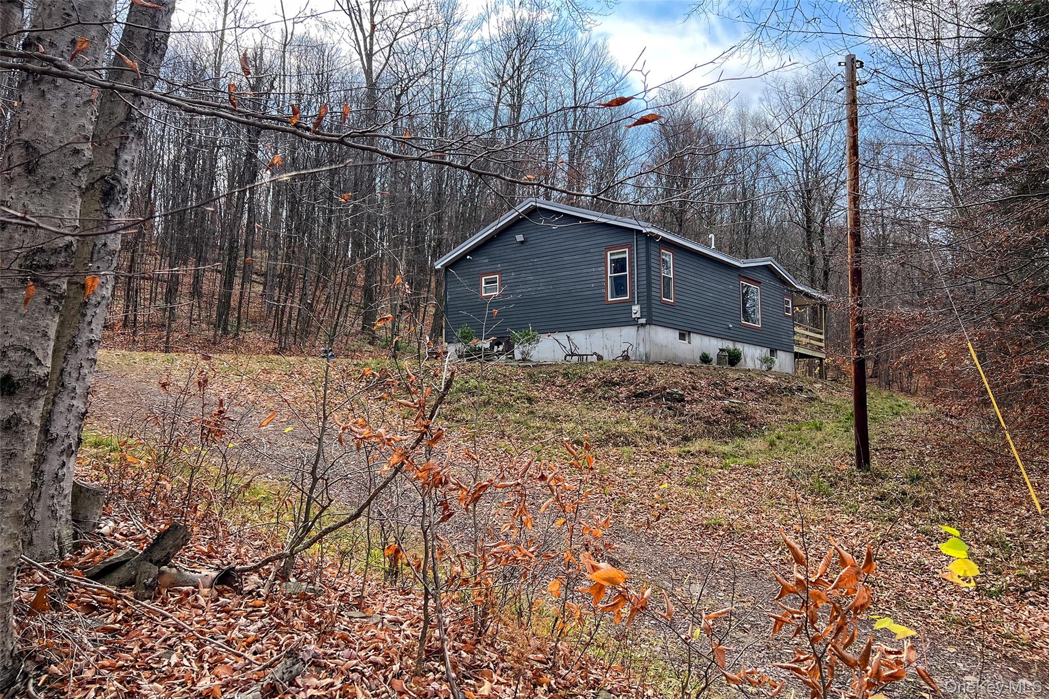 #3 photo, 464 Curtis Lane, Hamden , NY 13782