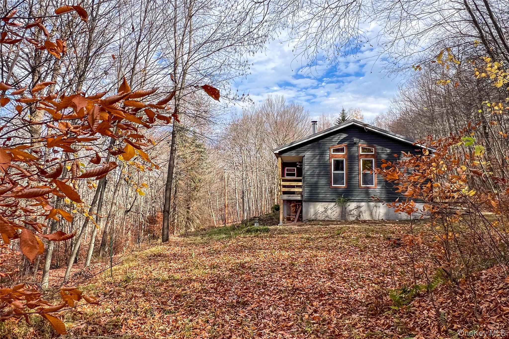 #9 photo, 464 Curtis Lane, Hamden , NY 13782