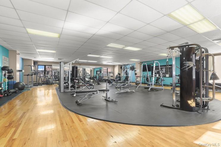 #14 photo, 161 Pearsall Drive Pearsall Drive, Mount Vernon , NY 10552