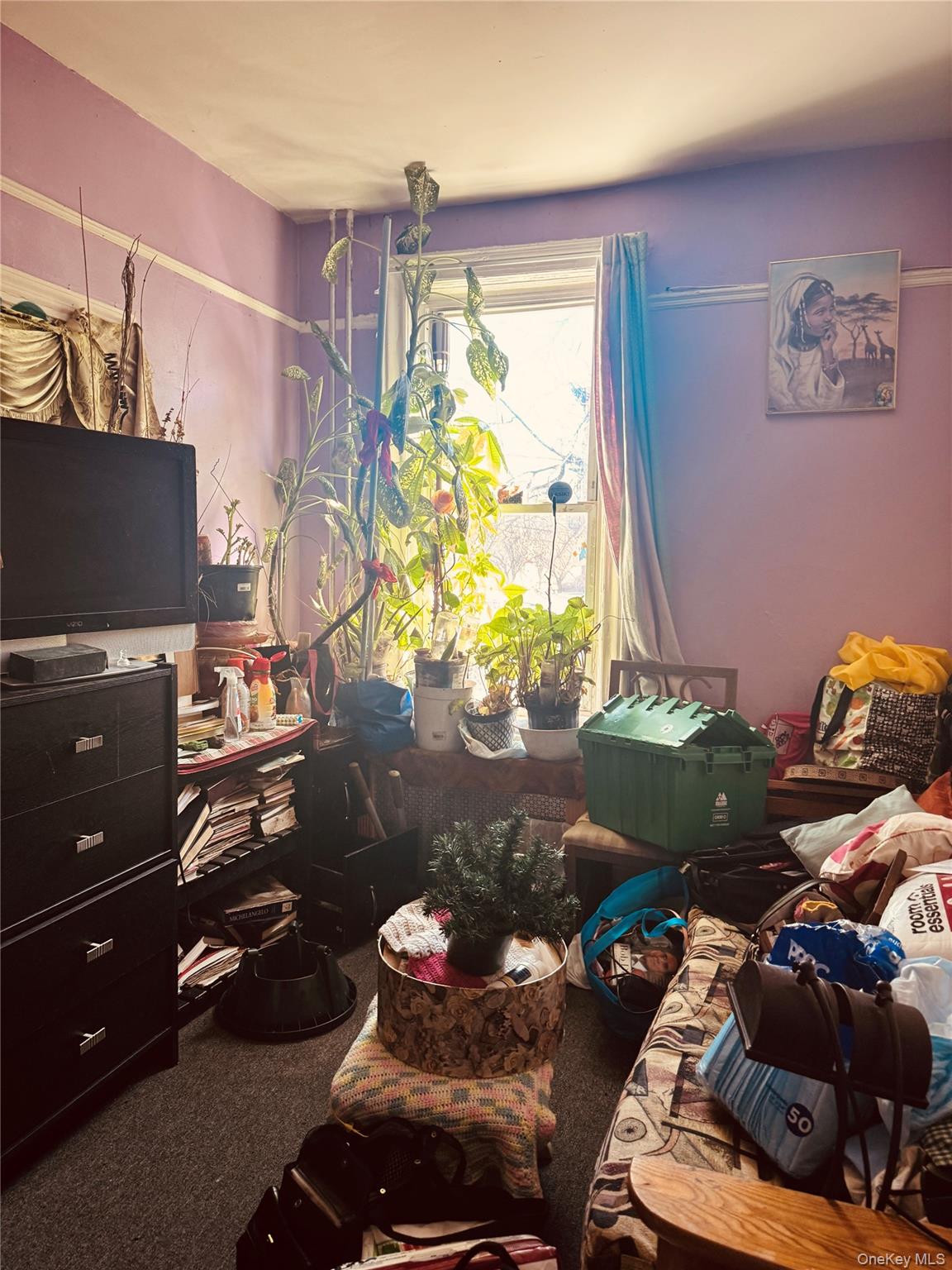 #4 photo, 928 E 215th Street, ब्रोंक्स Bronx , NY 10469