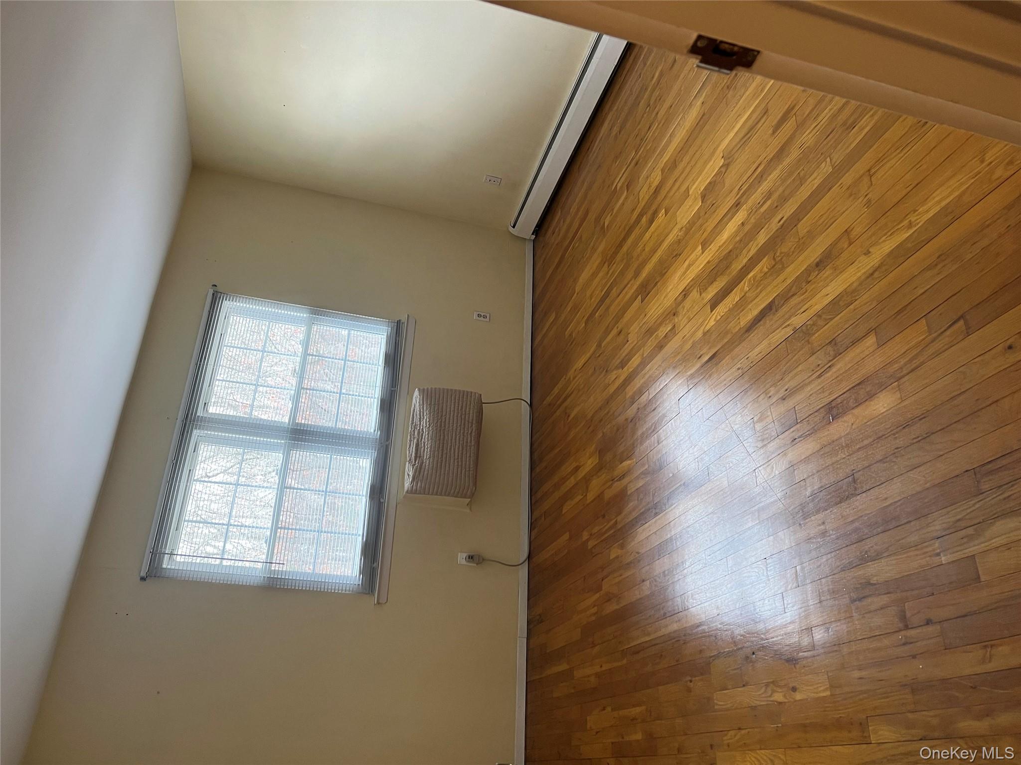 #8 photo, 5219 Wilshire, 东长岛 Oakdale , NY 11769